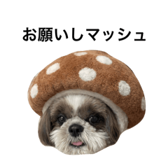 saori_20260325200645