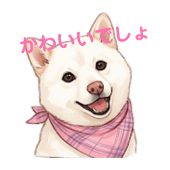 Mashita_20260325201302