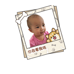 小蘿蔔日常貼圖！