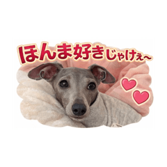 fuwarin_20260325105621h