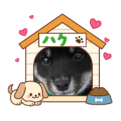 chokoputi hanpen_20260325103710