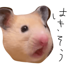 vabiliii_20260325124008