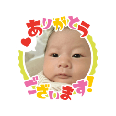 AOKIKE_20260325125133