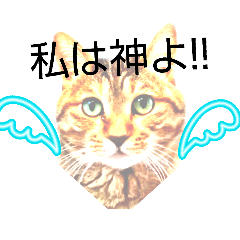 tomosk_20260325122416