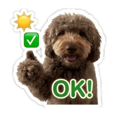 silver9_20260325234506