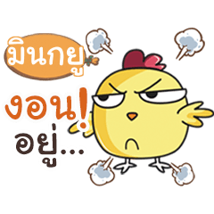 MINOKYU this chicken?