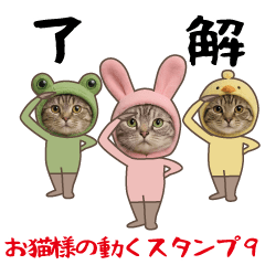 Moving cat sticker9