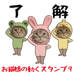 Moving cat sticker9