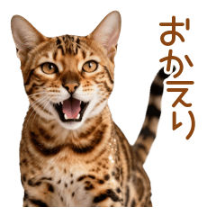 Playful Biting Bengal Cat