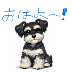 ANIMARU ANIMARU ANIMARU