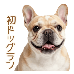 Mochi Frenchie's Playful Days