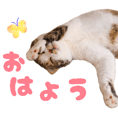 Kaori Maker_20260325084330