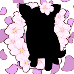 For Chihuahua frame arrangement.