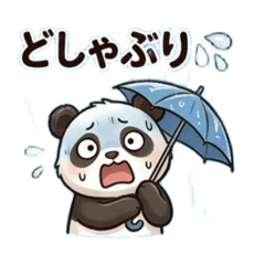 Rainy Panda