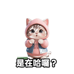 Poki 戴毛線帽的小貓