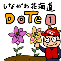 Stiker Shinagawa Hanakaido DoTe (1)