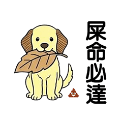 ☆米格魯的生活趣事☆開開心心每一天