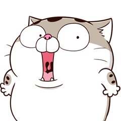 fat cat Ami 20 PRO