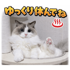 yoppy_20260325203054