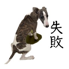 yuri1413_20260325205650