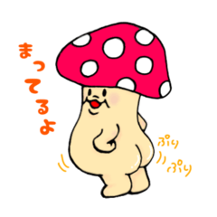 hacchi_20260322153136