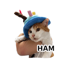 Ghost96_20260325144734