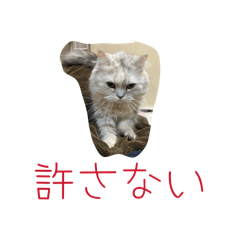 pape_20260325145355