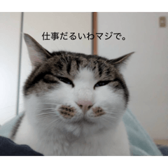 murai_20260325145238