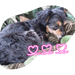 choco_20260325205924