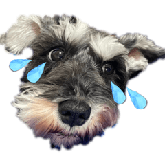 kawawa0411_20260325205515