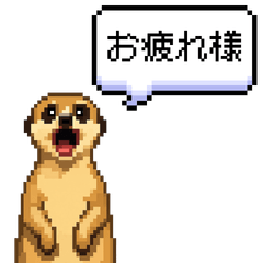 ドットミーアキャットと日常会話