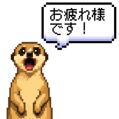 ドットミーアキャットと日常会話（敬語）