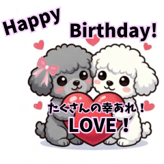 Best Friend Poodles Celebration Messages
