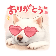 Mashita_20260325101132