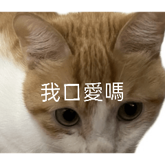 超dr