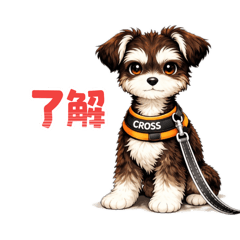 Naoki Yoshihara_20260325215549