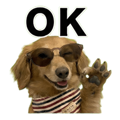 Ruby who looks great in sunglasses