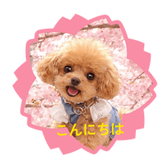 karin_20260325194704