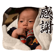 kumiko_20260325194429