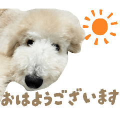 soratyan_20260325220927