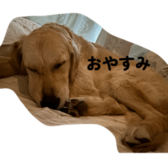 kichikichifarm_20260325102257