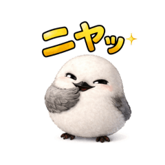 nimaenaga_20260325123606