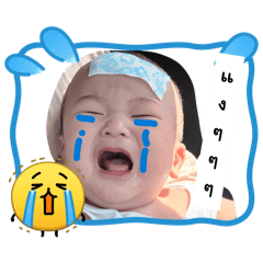 ViewvyPAPAYA_20260325133856