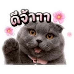 KANVORA_20260325131754