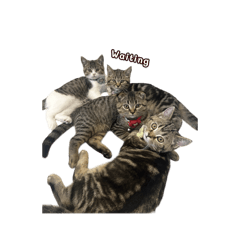 Thiya_20260325145106