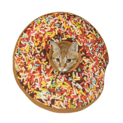 ［小Rich］第一代喵