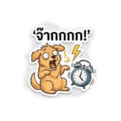 Tippawan56_20260325204917
