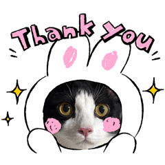 Tongpyp_20260325212154