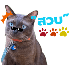 Nhum Nhim by Khun Yai Salee