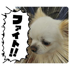 endox_20260325140614